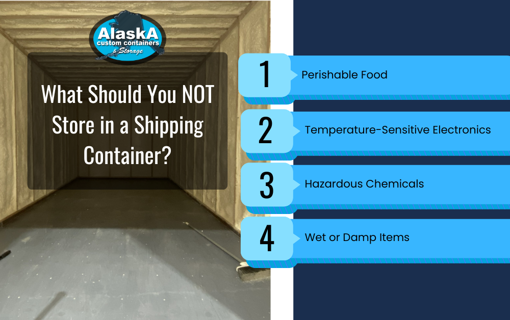 What Should You NOT Store in a Shipping Container? Infographic